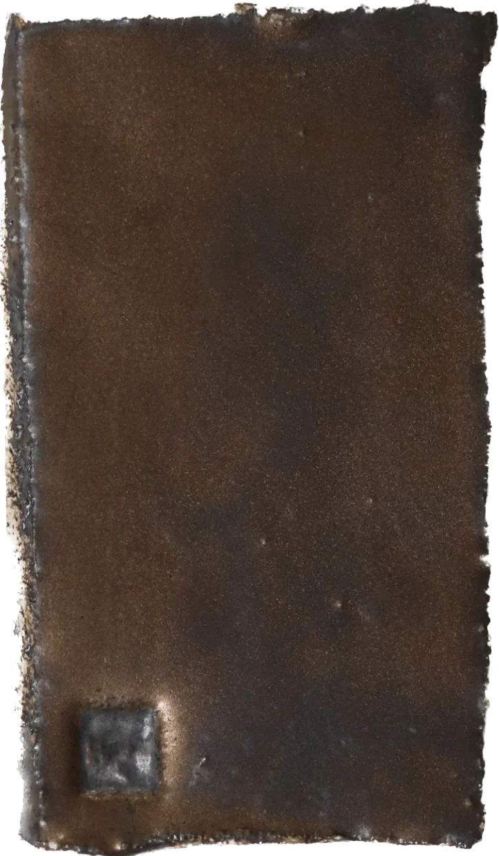 Danny Kaplan Antonia Vessel - Image 11